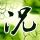 原版埃德基督教大学学位证【degxx.com】